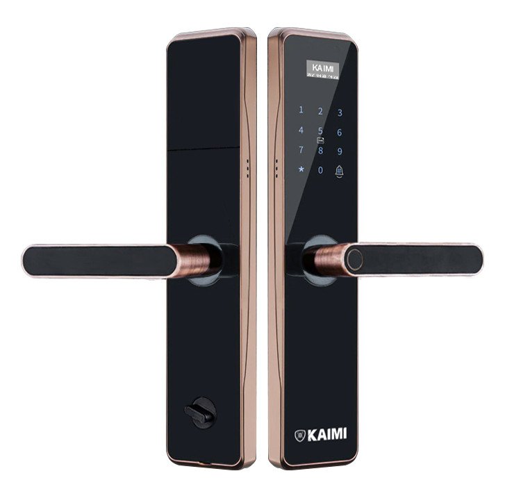 Khóa Vân Tay BTM101