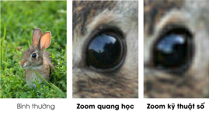 Zoom quang học và zoom kỹ thuật số: Sự khác biệt chính giữa chúng