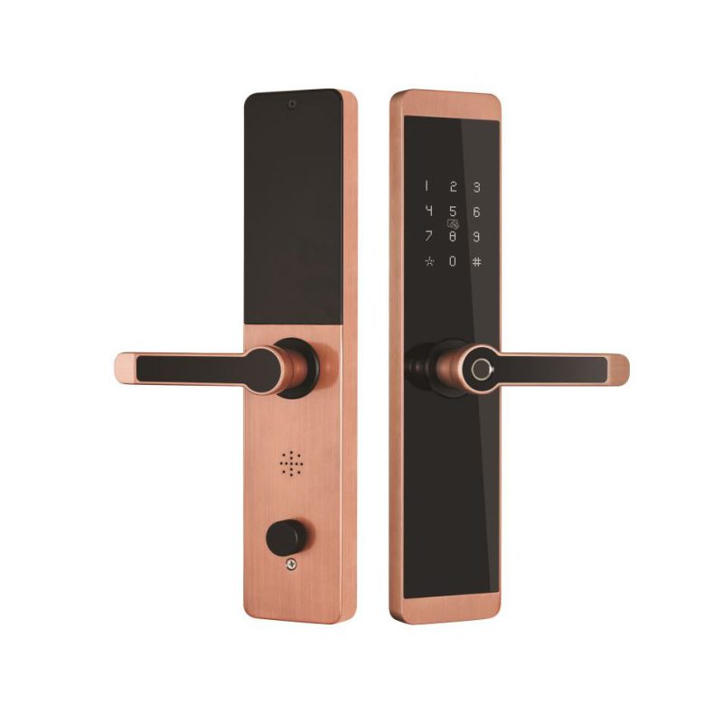 Khóa cửa vân tay Kassler KL-600