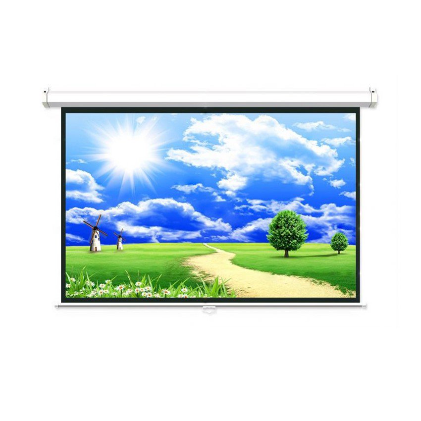 MÀN CHIẾU TREO TƯỜNG DALITE P96WS ( 2M44X2M44 ) - 136 INCH