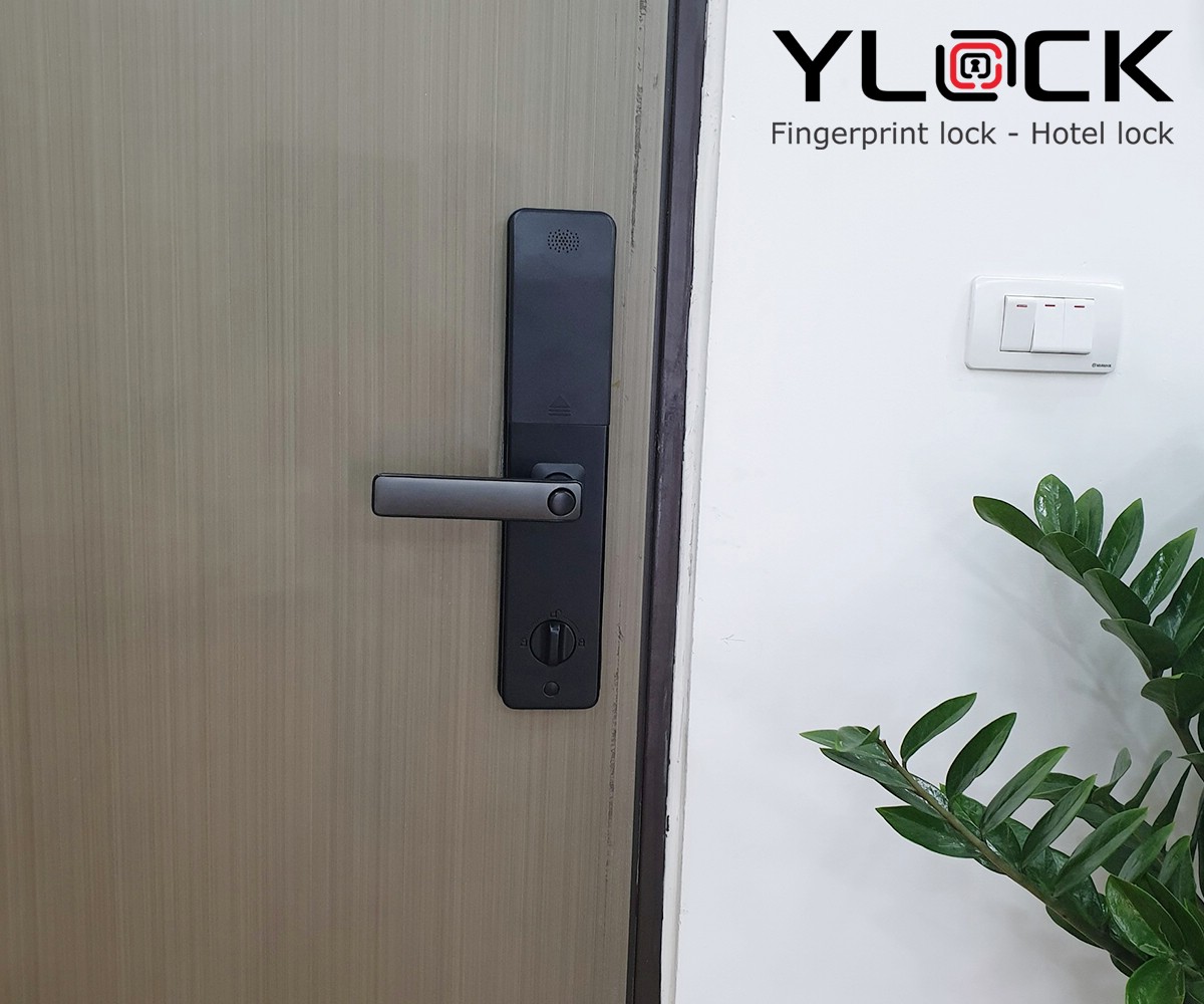 Khóa cửa điện tử YLOCK YL-8880-B (Vân tay, Thẻ từ, Mật mã)