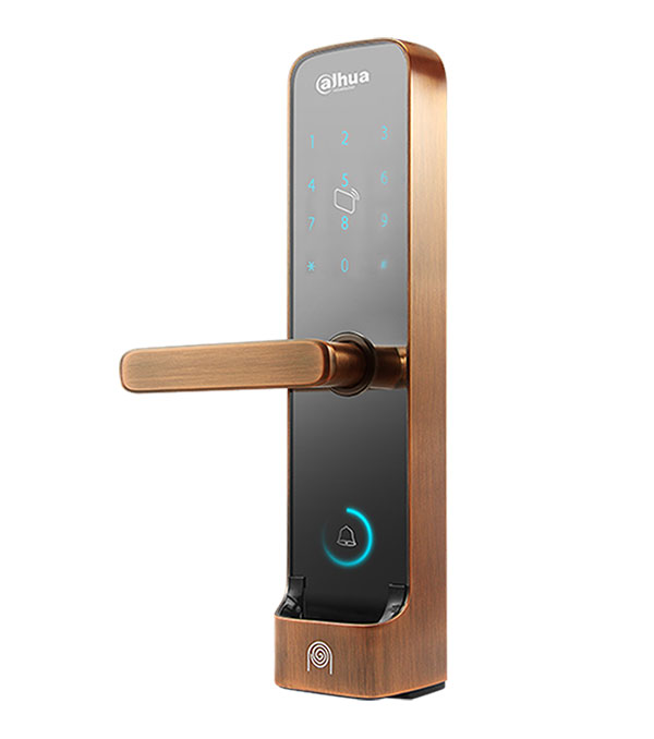 thẻ nhớ Dahua DSS 32GB