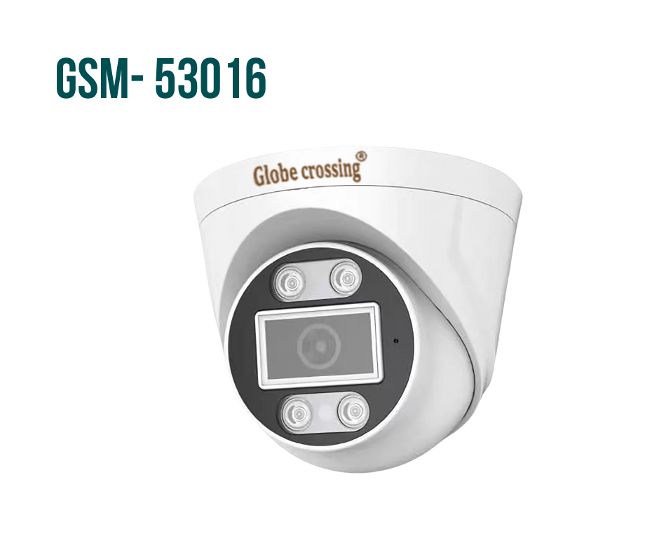 Camera IP Full Color 4Mp Globe crossing GSM-53016