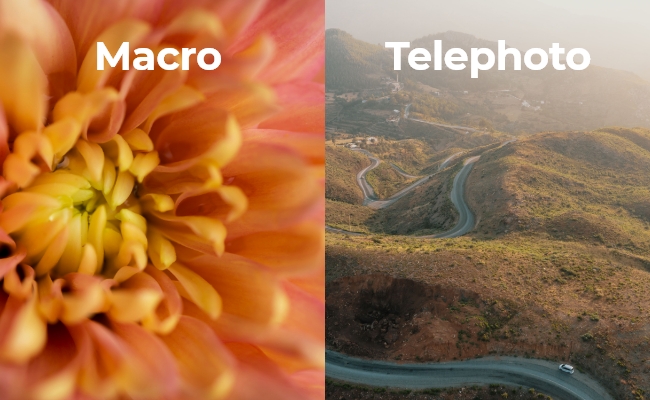 Ống kính macro và ống kính tele: So sánh đầy đủ năm 2023